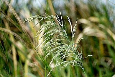 圣诞节假期期间VR行业相关产品销量迎来显著增长