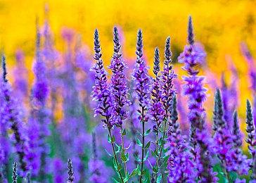 玩家自制《星空》mod 可以实现星球旅行